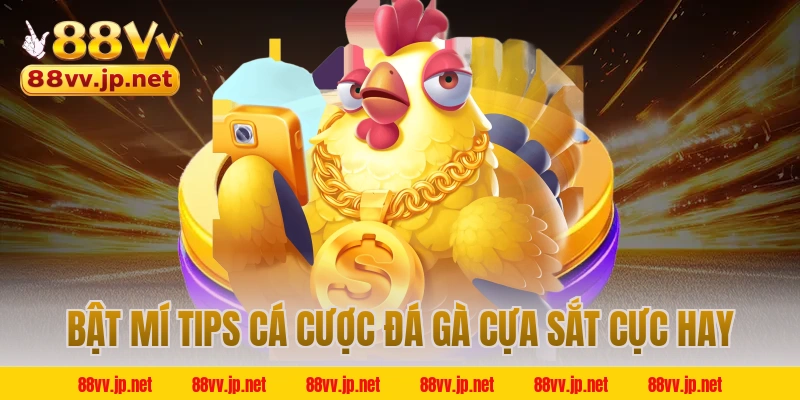 Bật mí tips cá cược đá gà cựa sắt cực hay